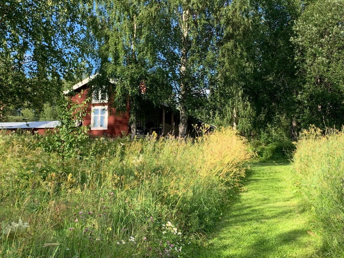Bogaerdan, Cozy Cabin By The Lulea River Harads Exteriér fotografie